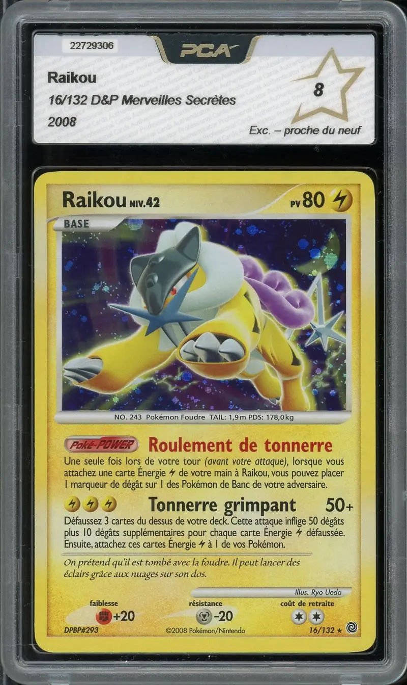 PCA 8 Raikou Holo