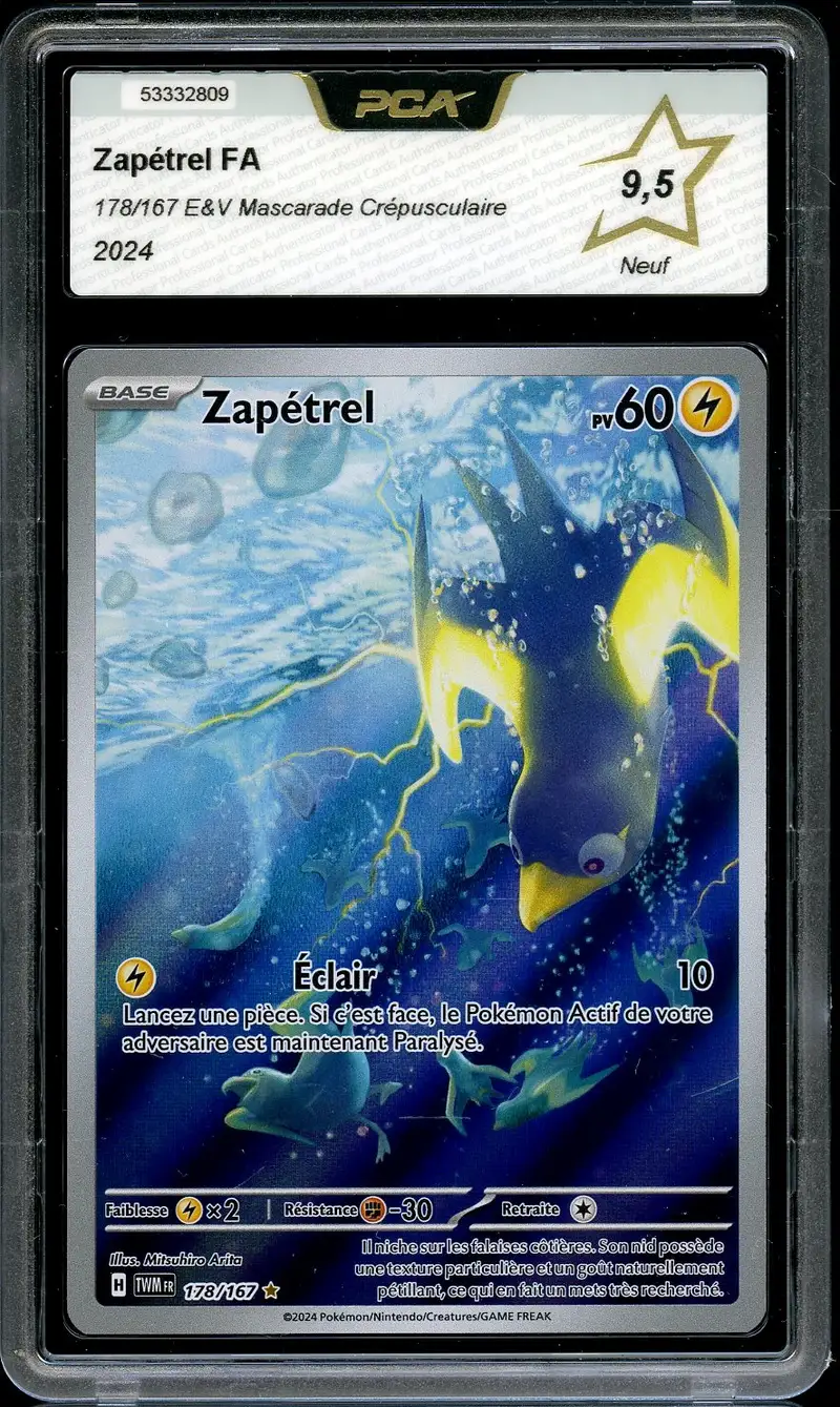 PCA 9.5 Zapétrel