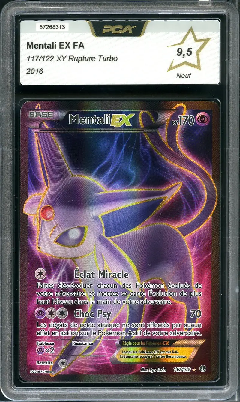 PCA 9.5 Mentali Ex