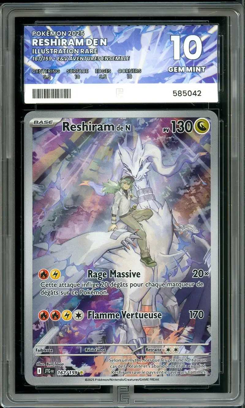 PG 10 Reshiram de N