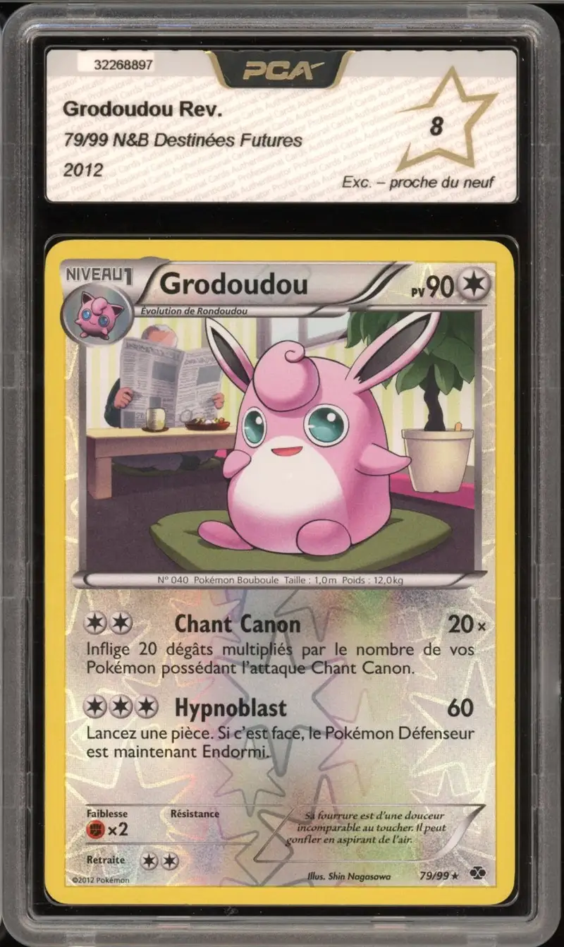 PCA 8 Grodoudou Reverse