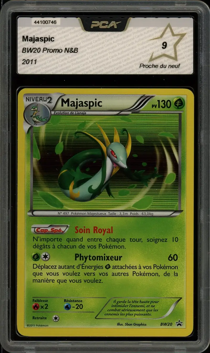 PCA 9 Majaspic Holo