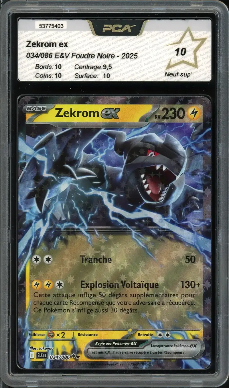 PCA 10 Zekrom Ex