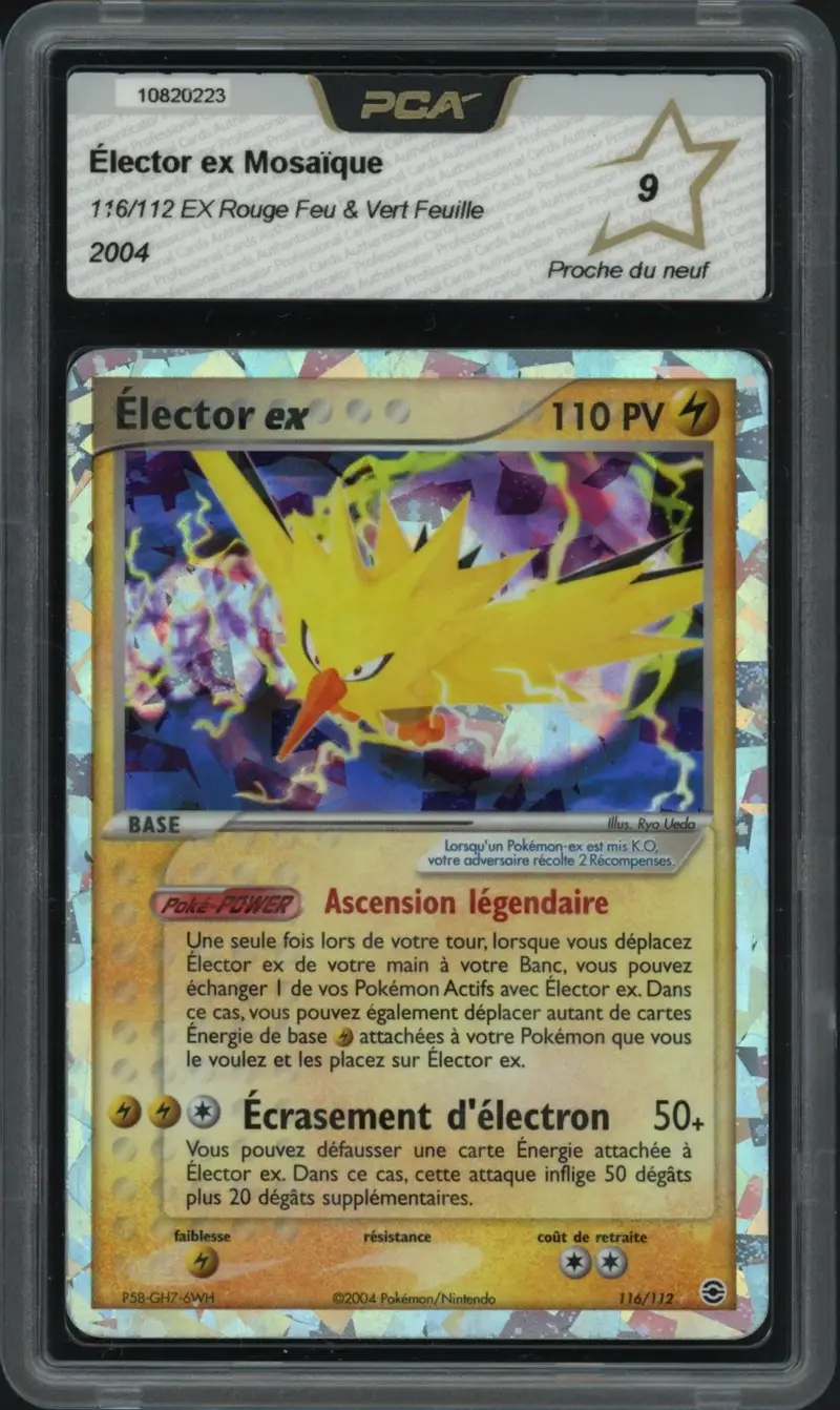 PCA 9 Elector Ex