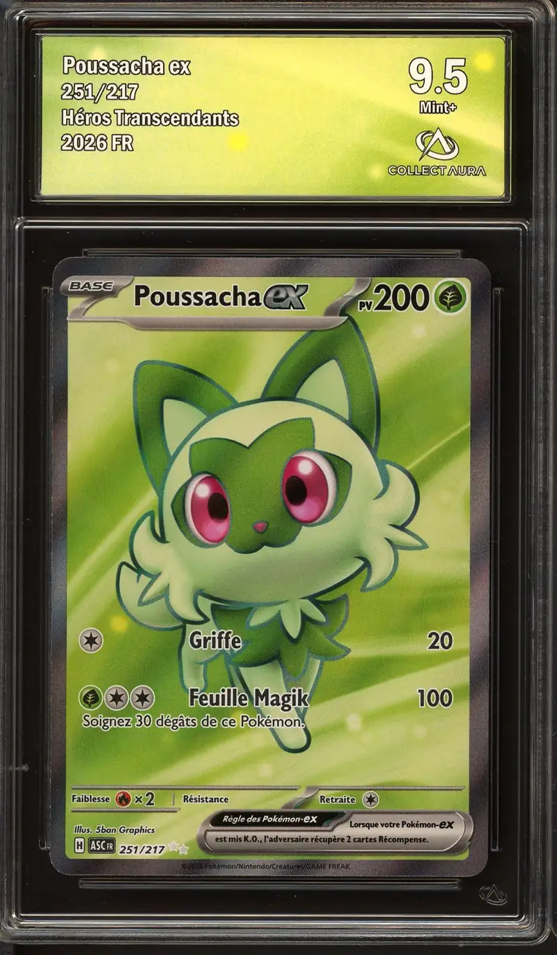 CA 9.5 Poussacha Ex