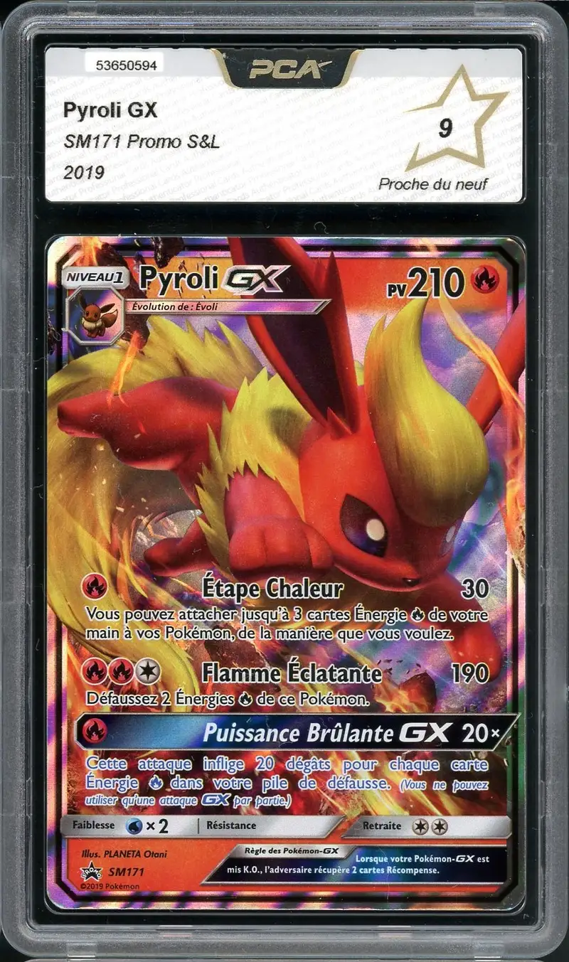 PCA 9 Pyroli Gx