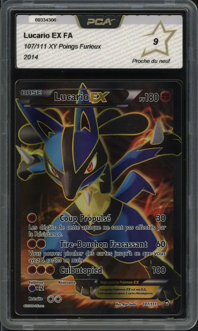 PCA 9 Lucario Ex