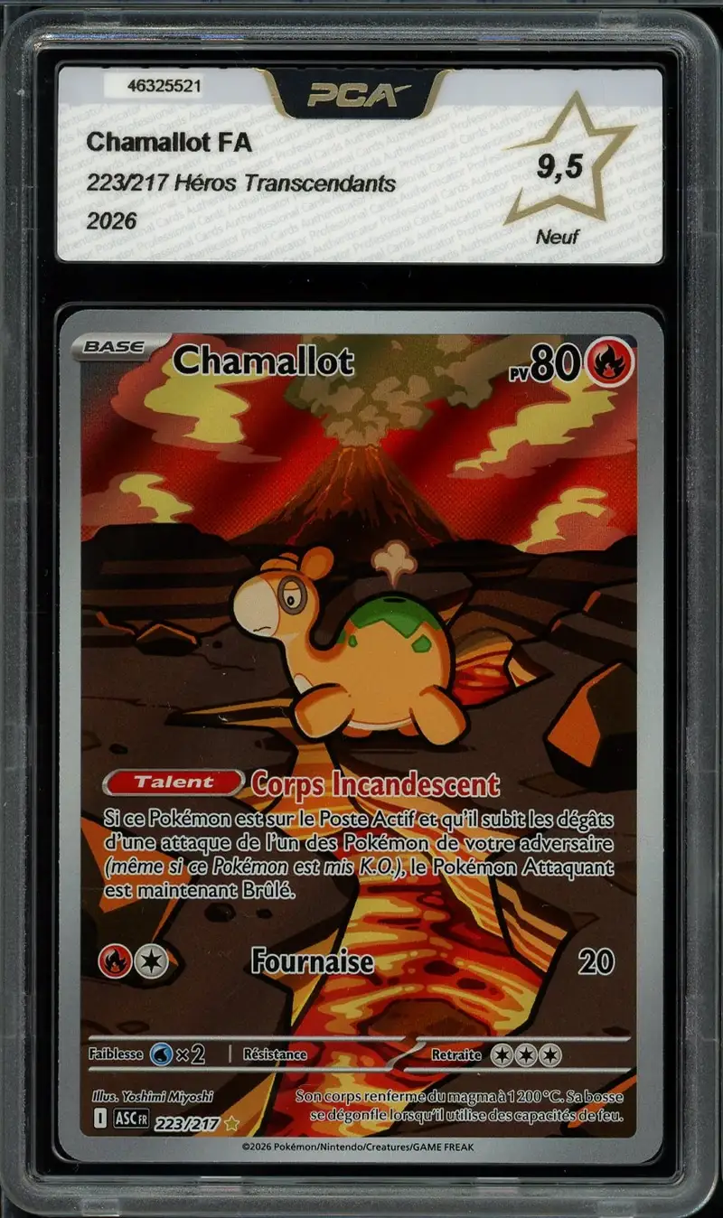 PCA 9.5 Chamallot