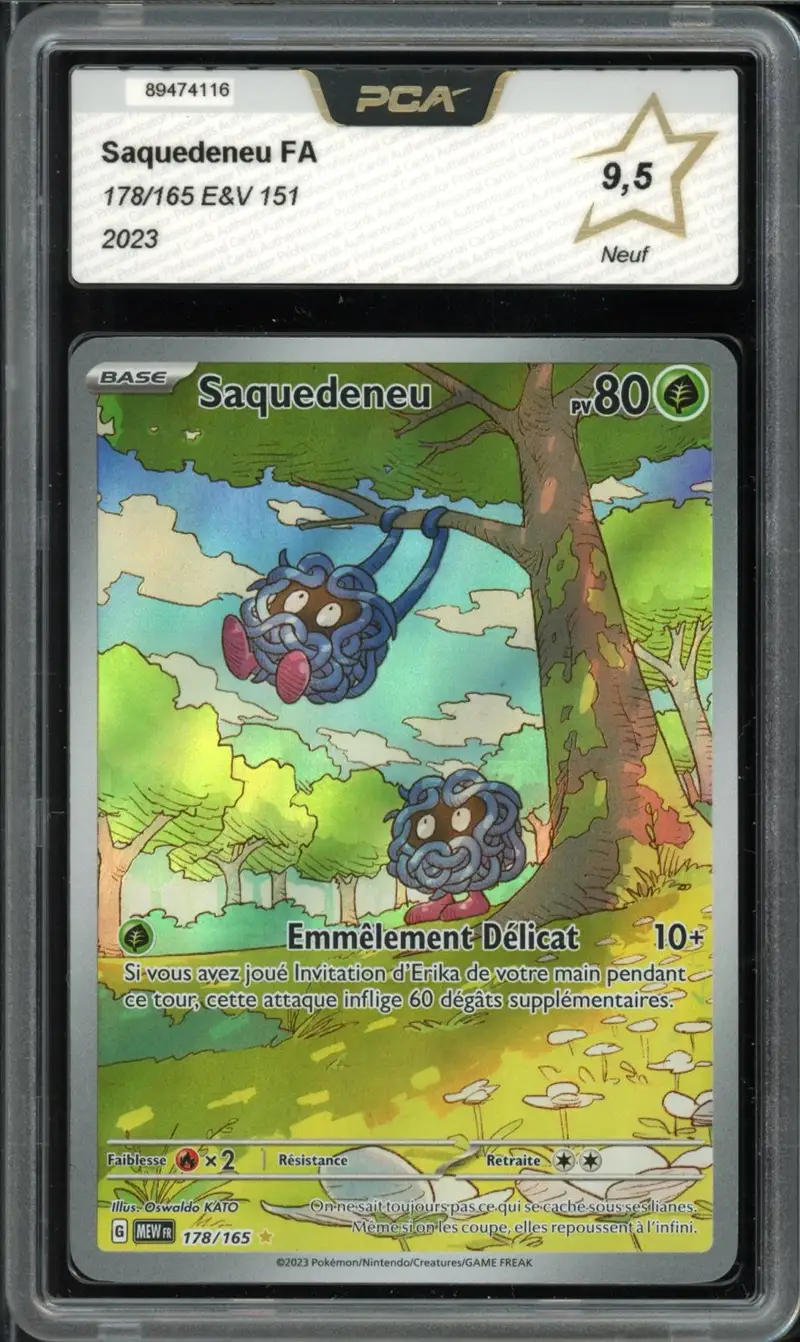 PCA 9.5 Saquedeneu