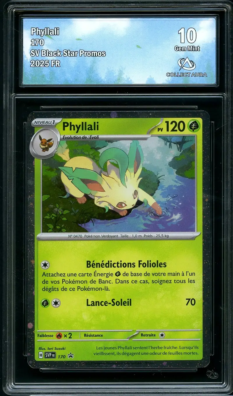 CA 10 Phyllali Holo