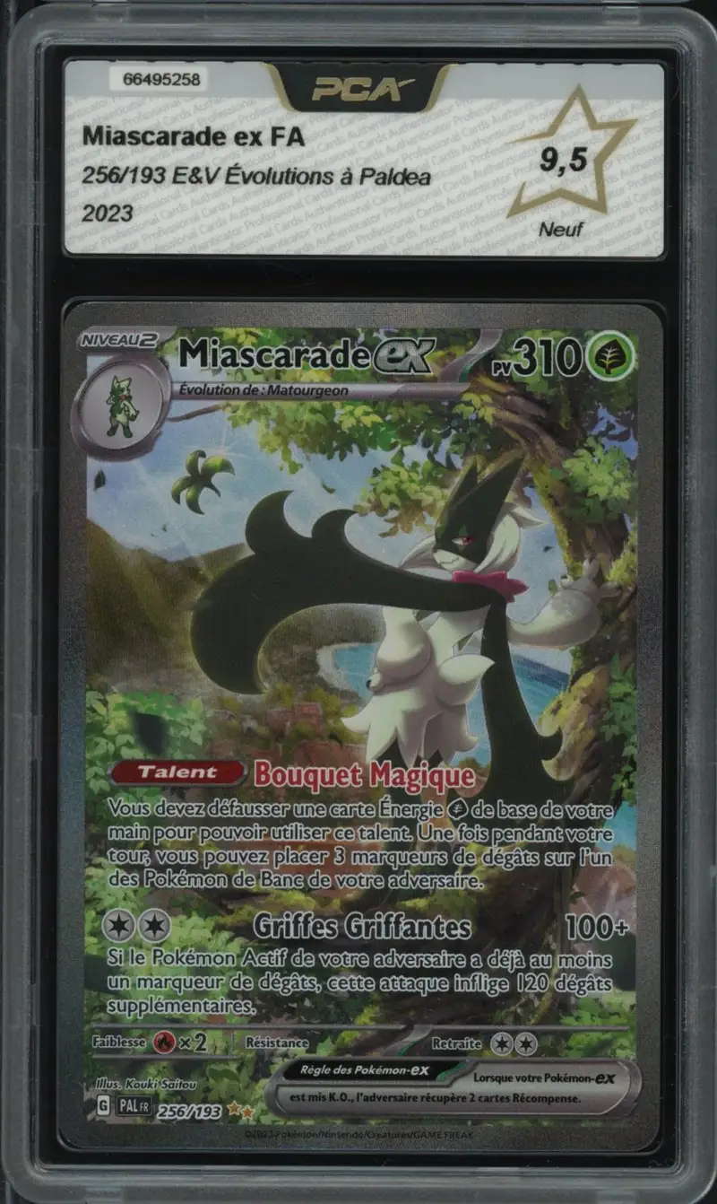 PCA 9.5 Miascarade Ex
