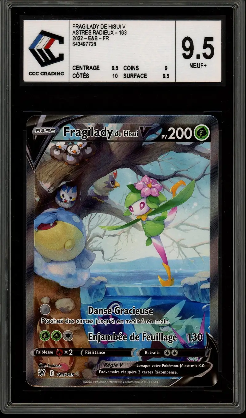 CCC 9.5 Fragilady de Hisui V