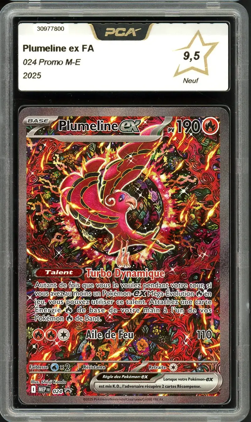 PCA 9.5 Plumeline Ex
