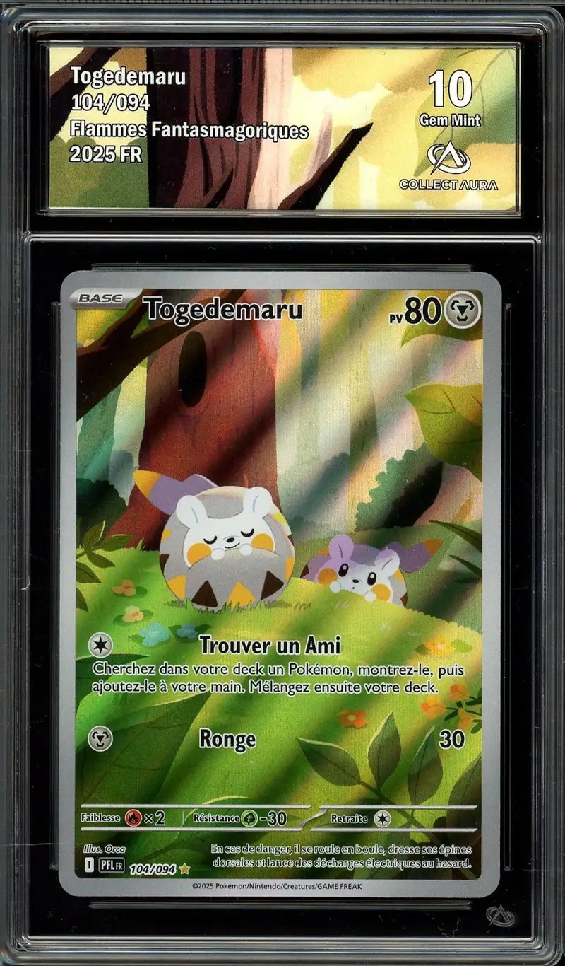 CA 10 Togedemaru