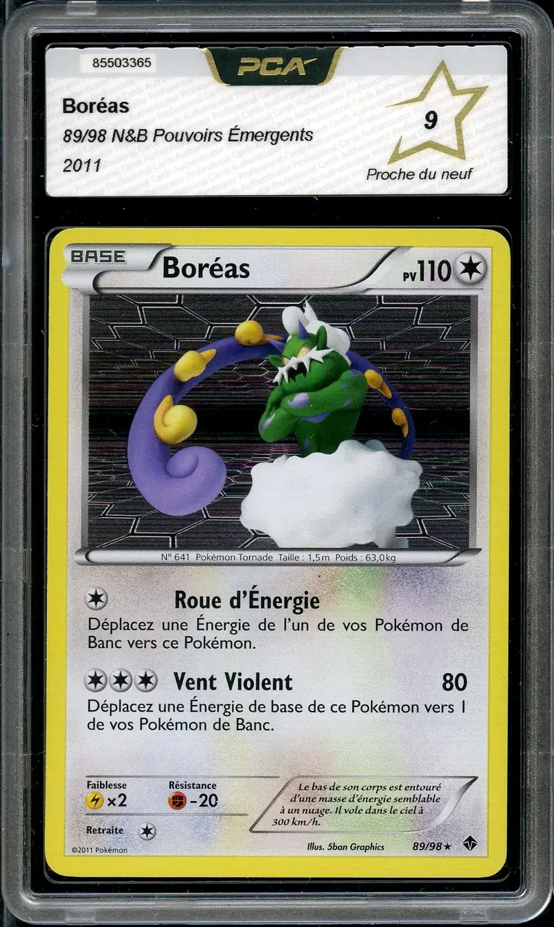 PCA 9 Boréas Holo