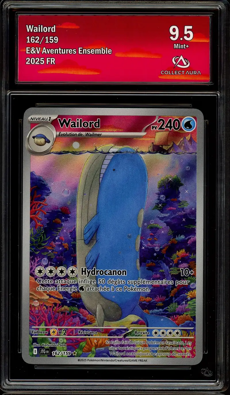 CA 9.5 Wailord