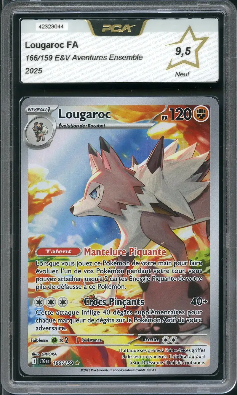 PCA 9.5 Lougaroc