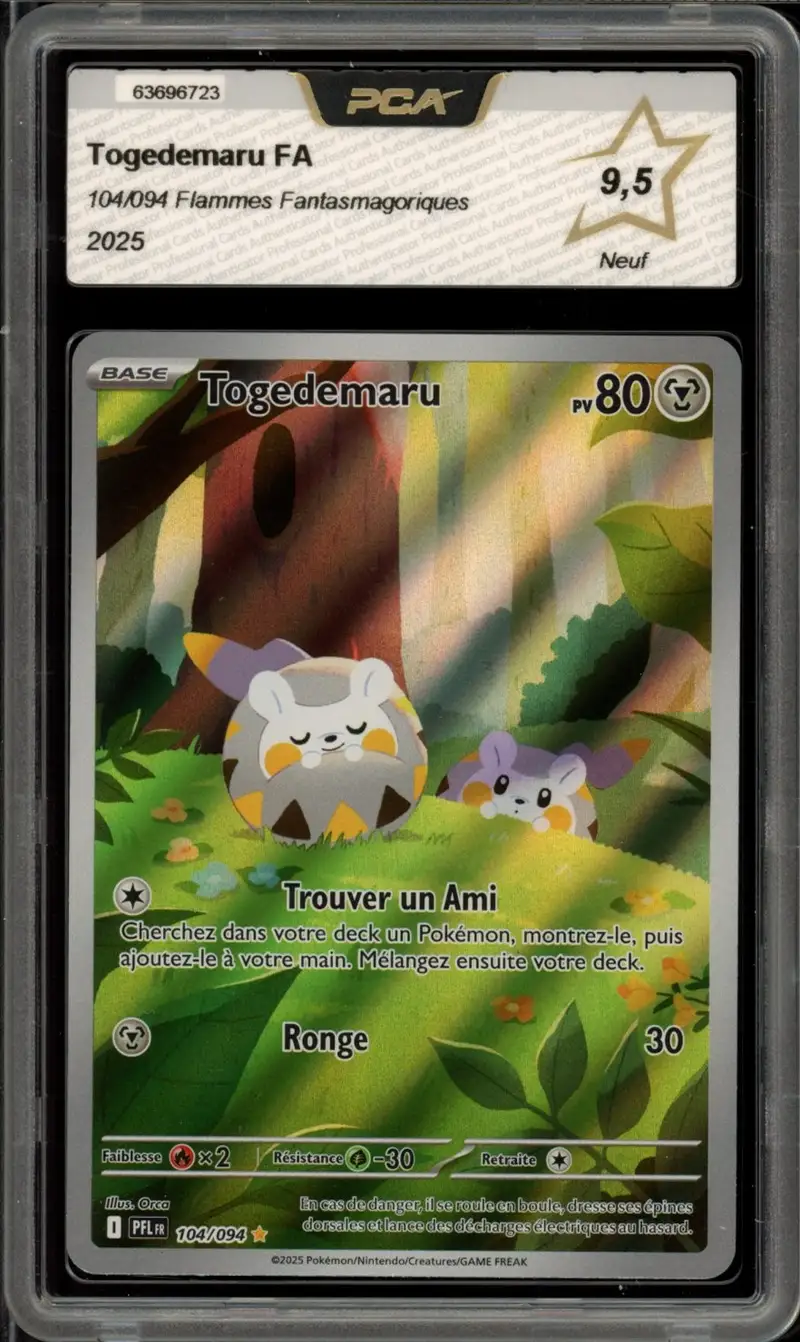PCA 9.5 Togedemaru