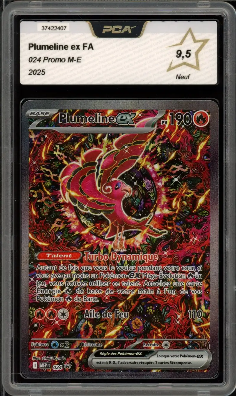 PCA 9.5 Plumeline Ex