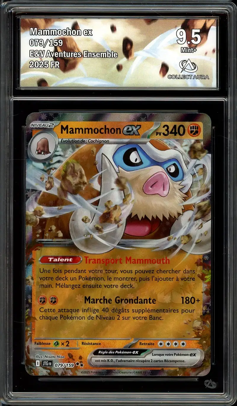 CA 9.5 Mammochon Ex