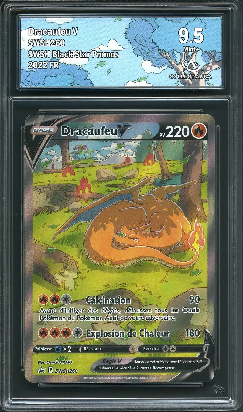 CA 9.5 Dracaufeu V