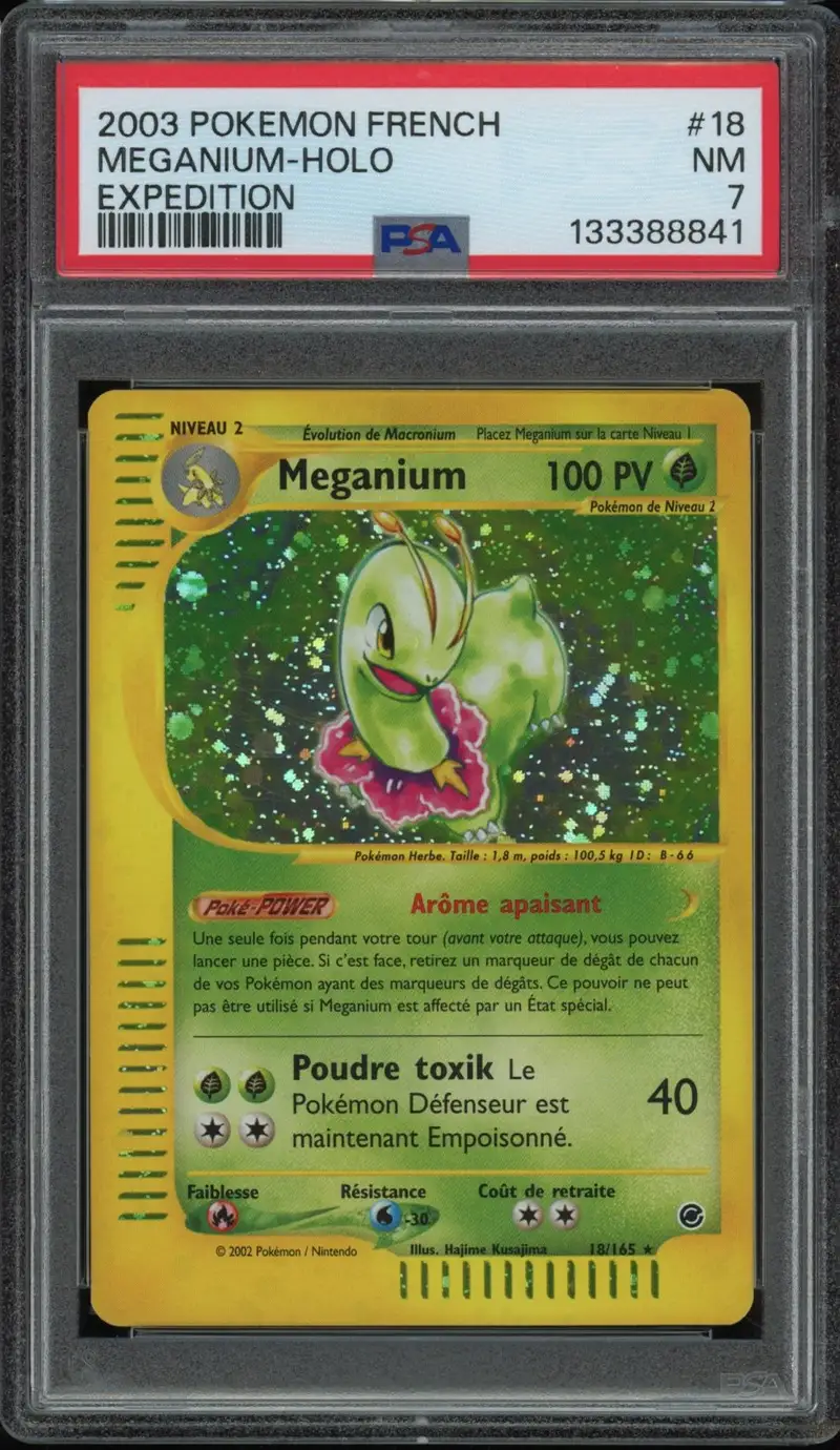 PSA 7 Méganium Holo
