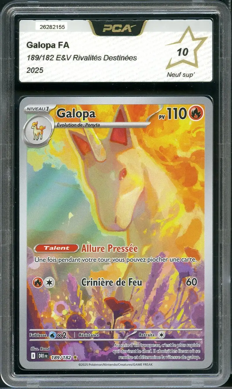 PCA 10 Galopa