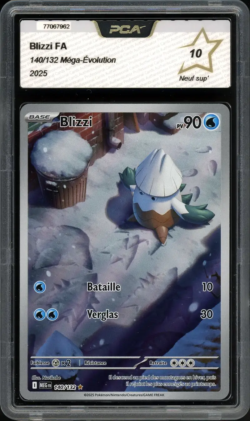 PCA 10 Blizzi