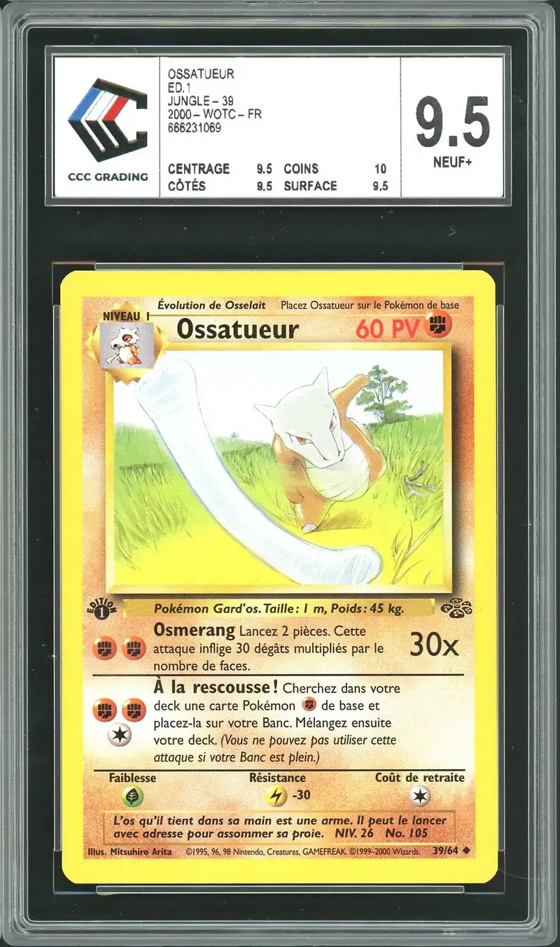 CCC 9.5 Ossatueur