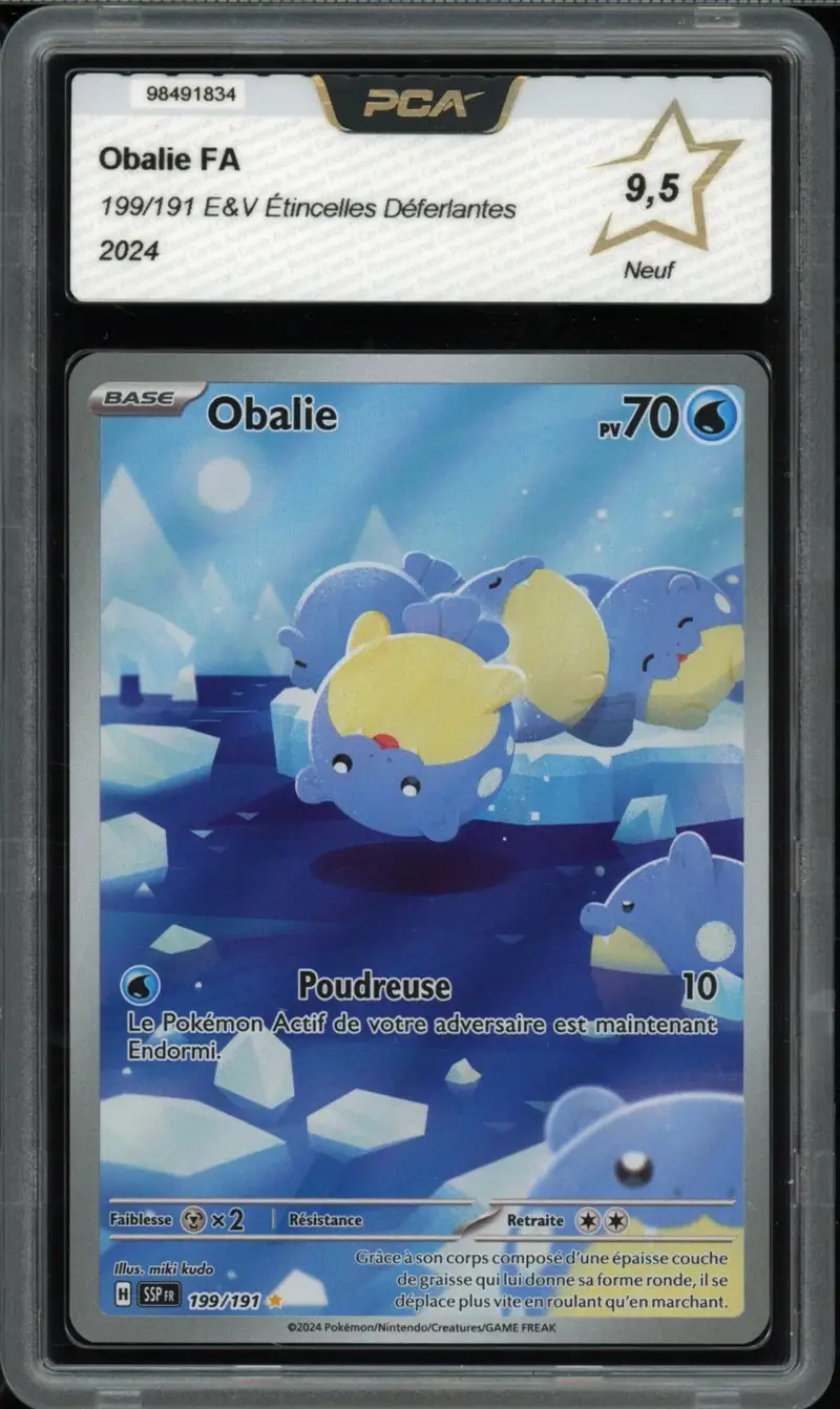 PCA 9.5 Obalie