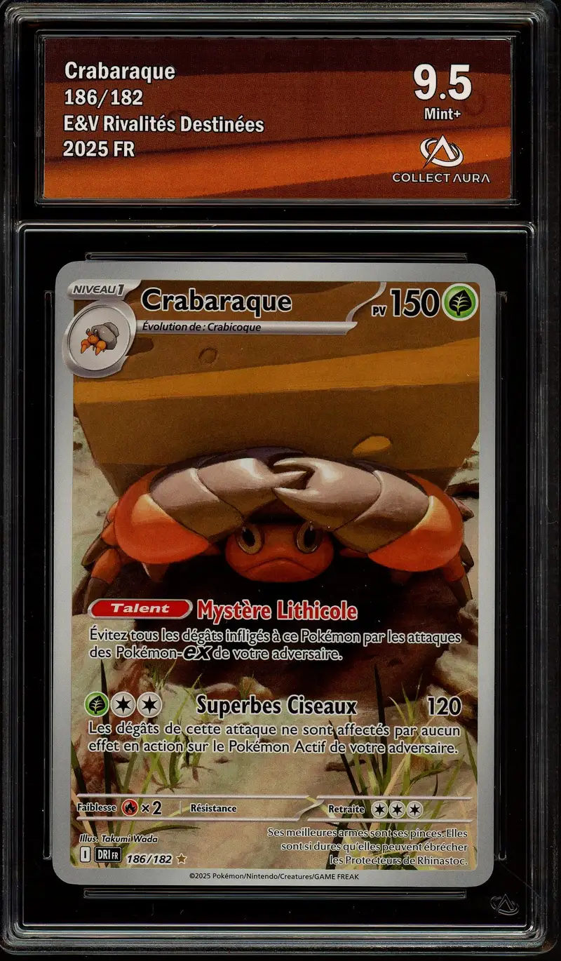 CA 9.5 Crabaraque