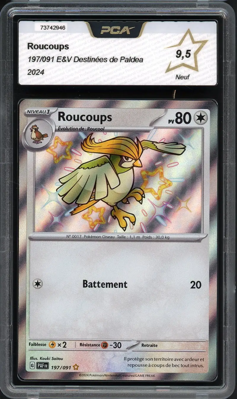 PCA 9.5 Roucoups Shiny