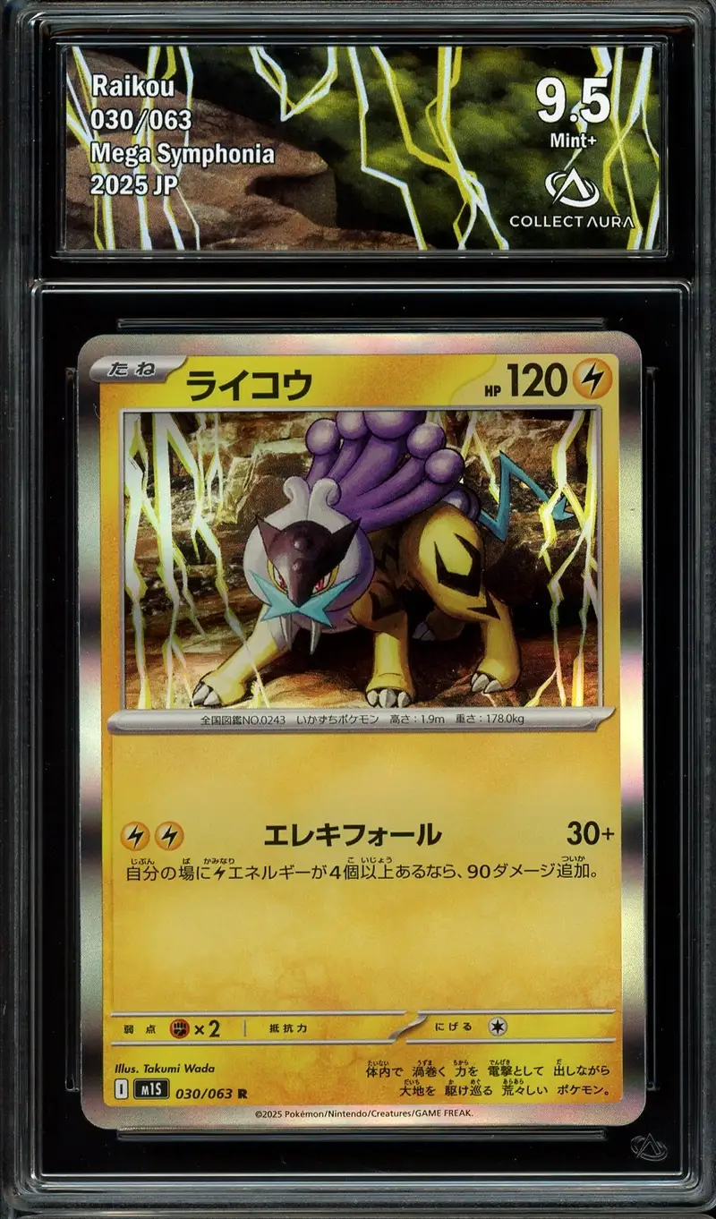 CA 9.5 Raikou Helo