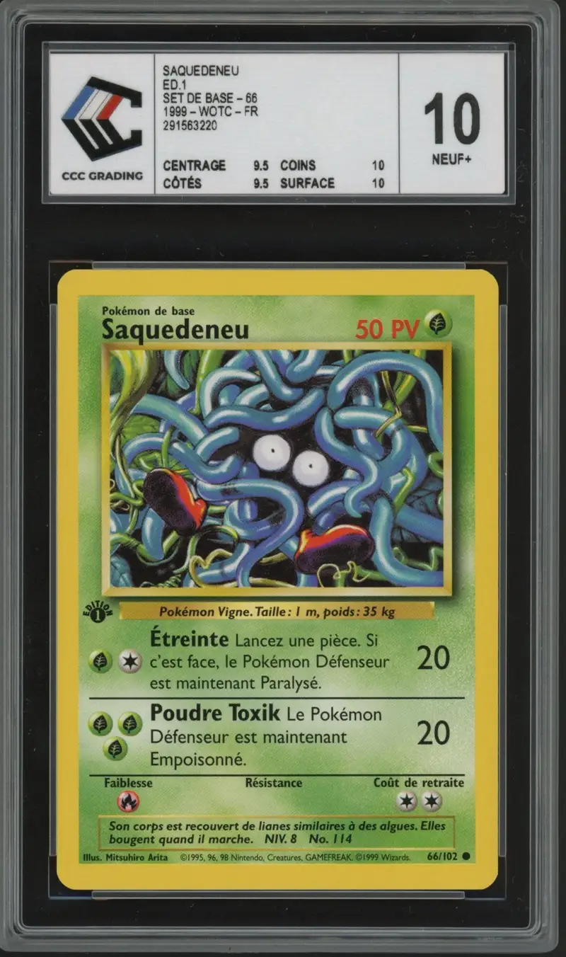 CCC 10 Saquedeneu