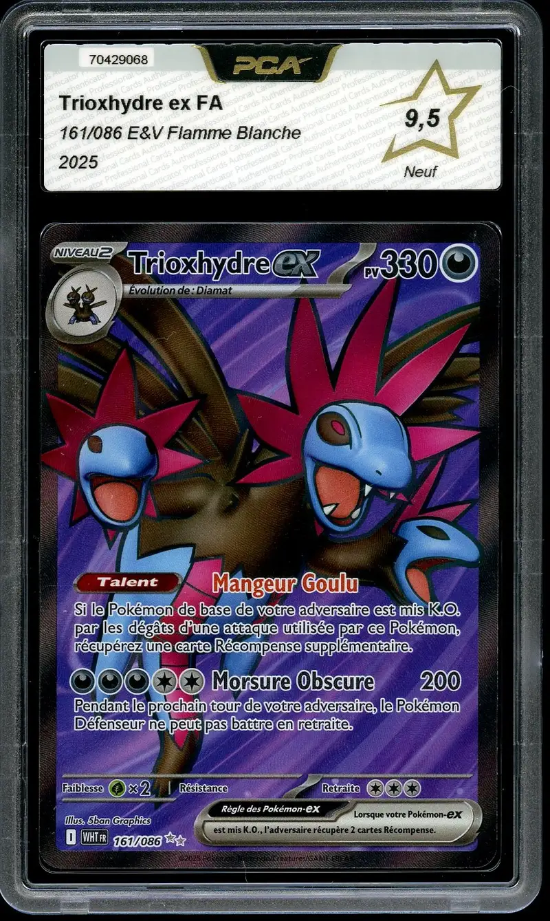 PCA 9.5 Trioxhydre Ex