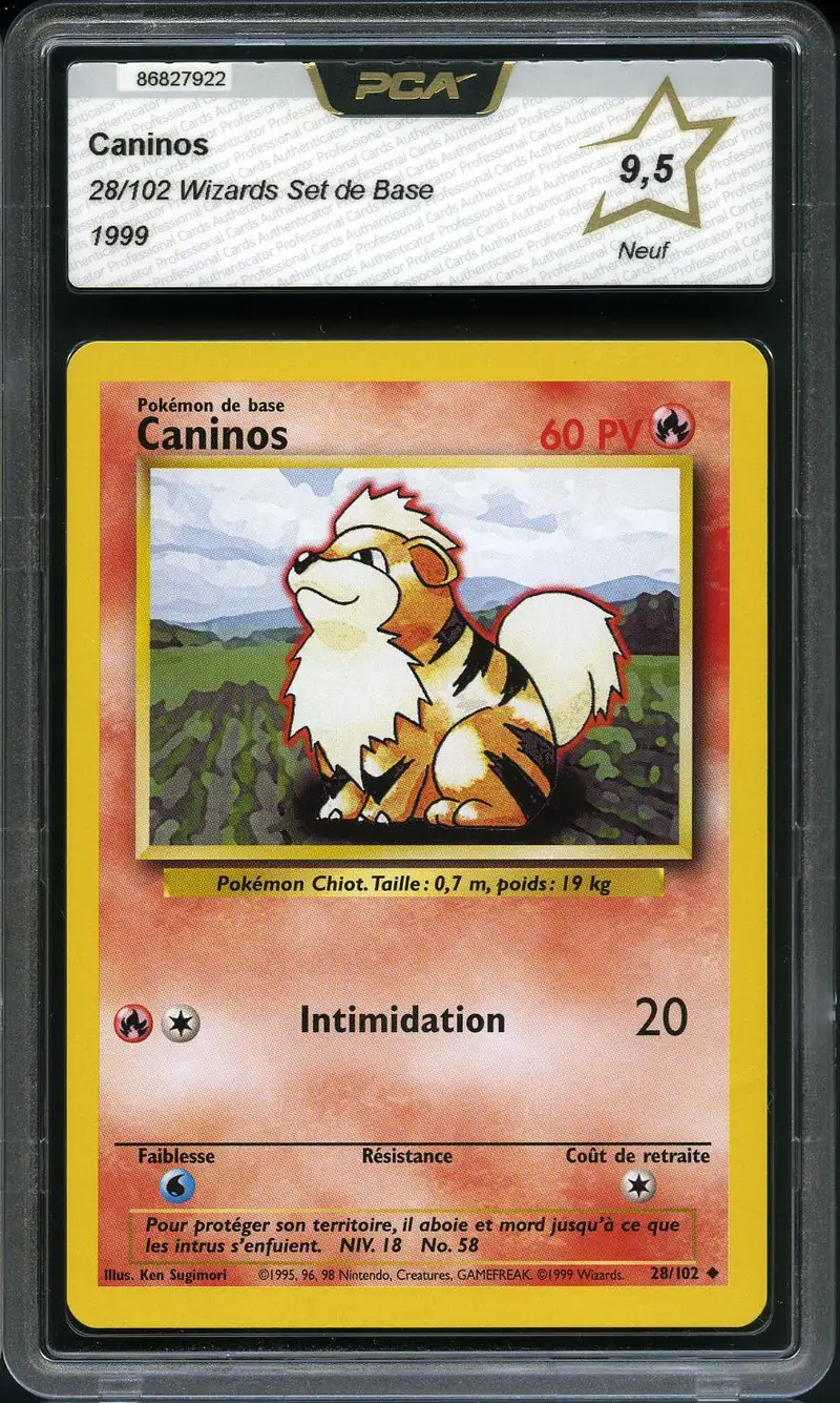 PCA 9.5 Caninos