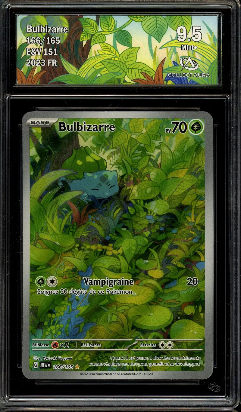 CA 9.5 Bulbizarre