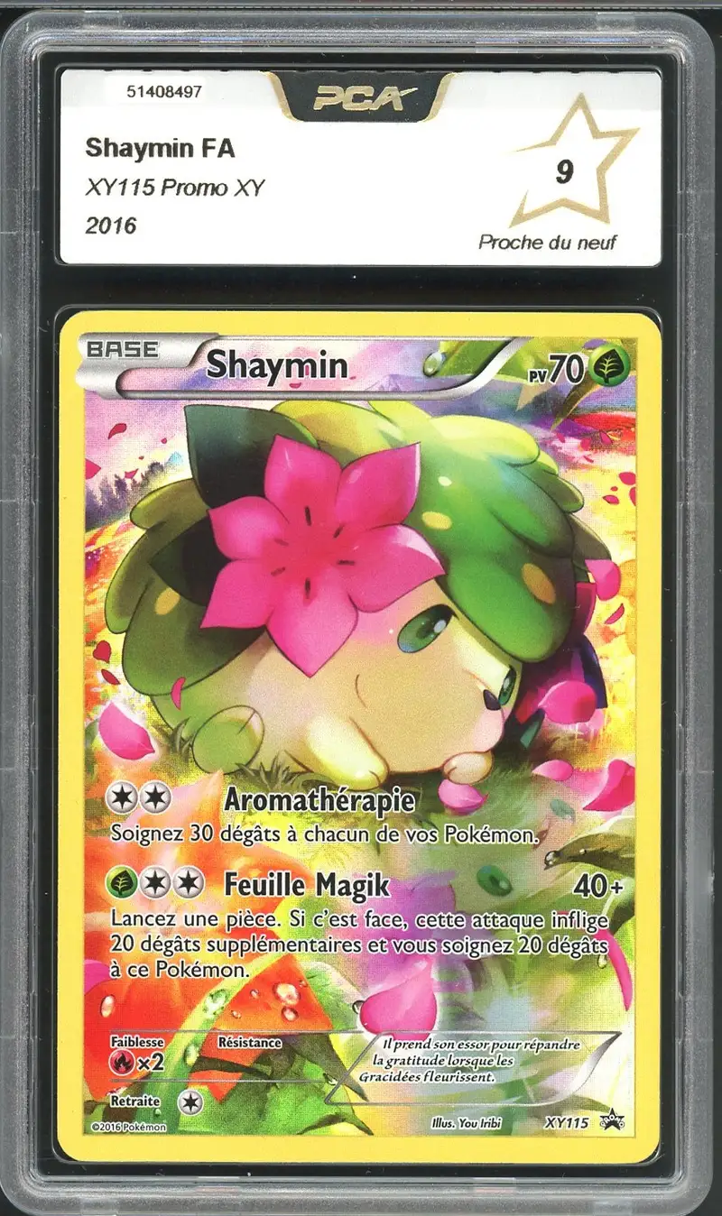 PCA 9 Shaymin