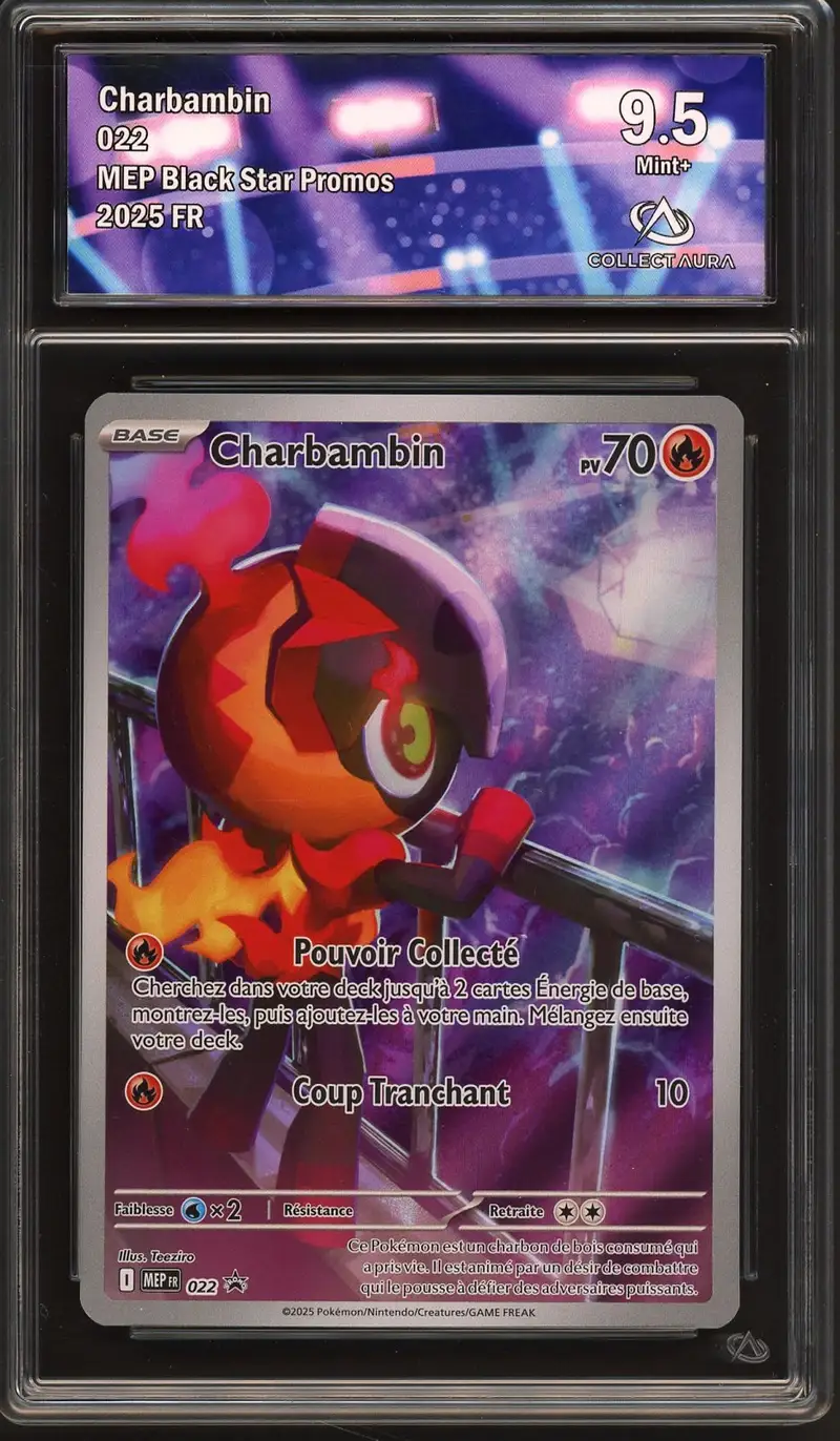 CA 9.5 Charbambin