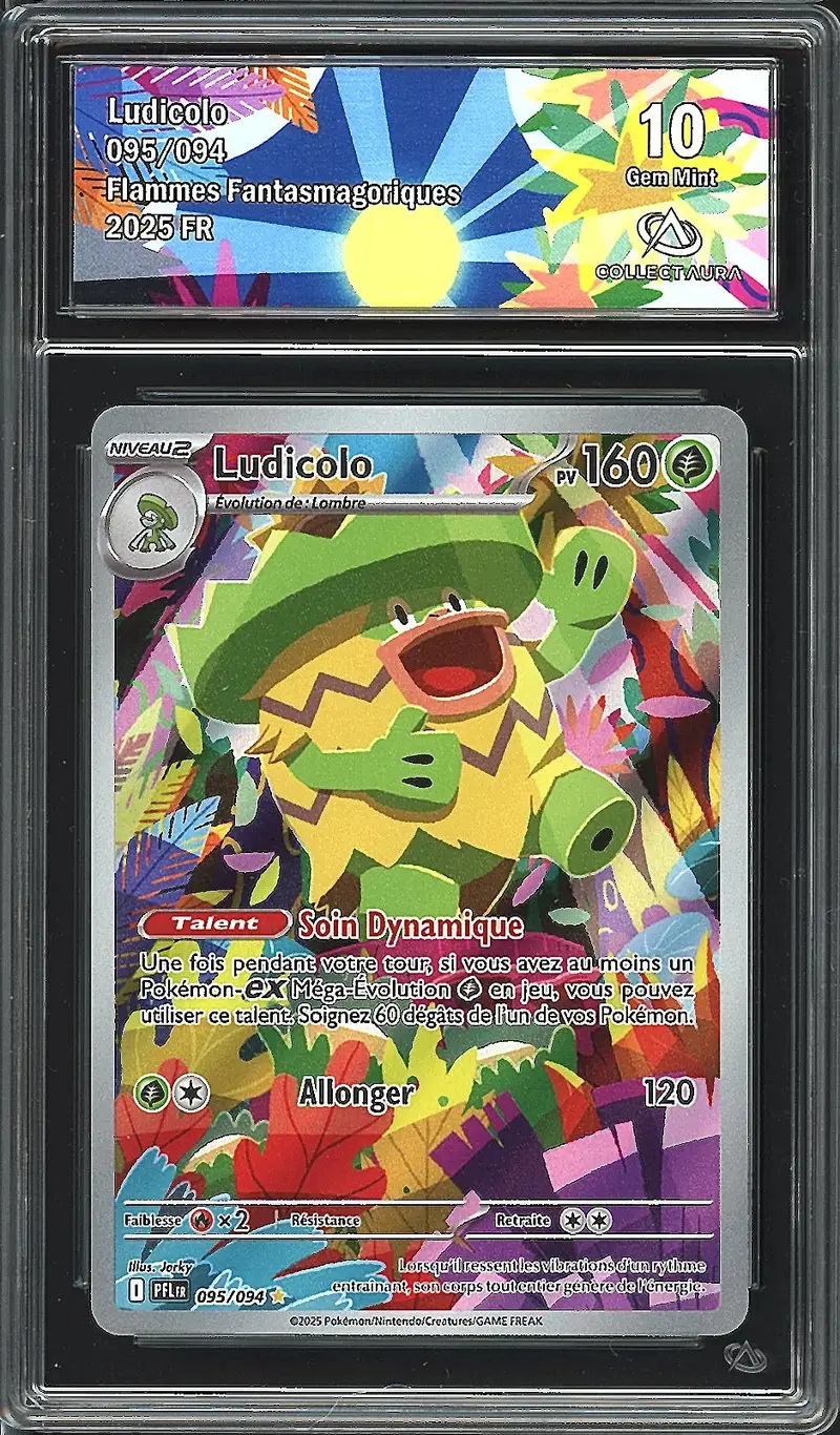 CA 10 Ludicolo