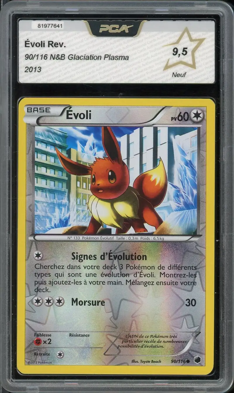 PCA 9.5 Evoli Reverse