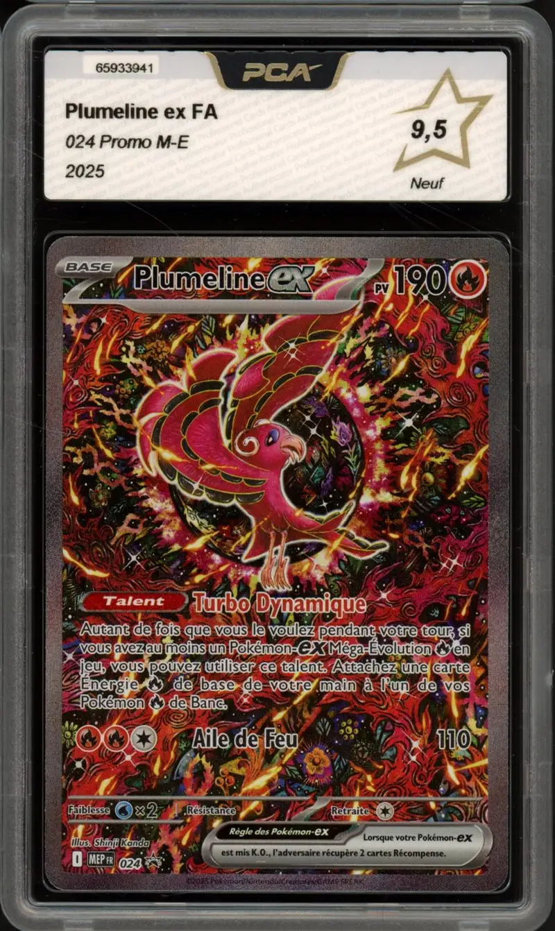 PCA 9.5 Plumeline Ex