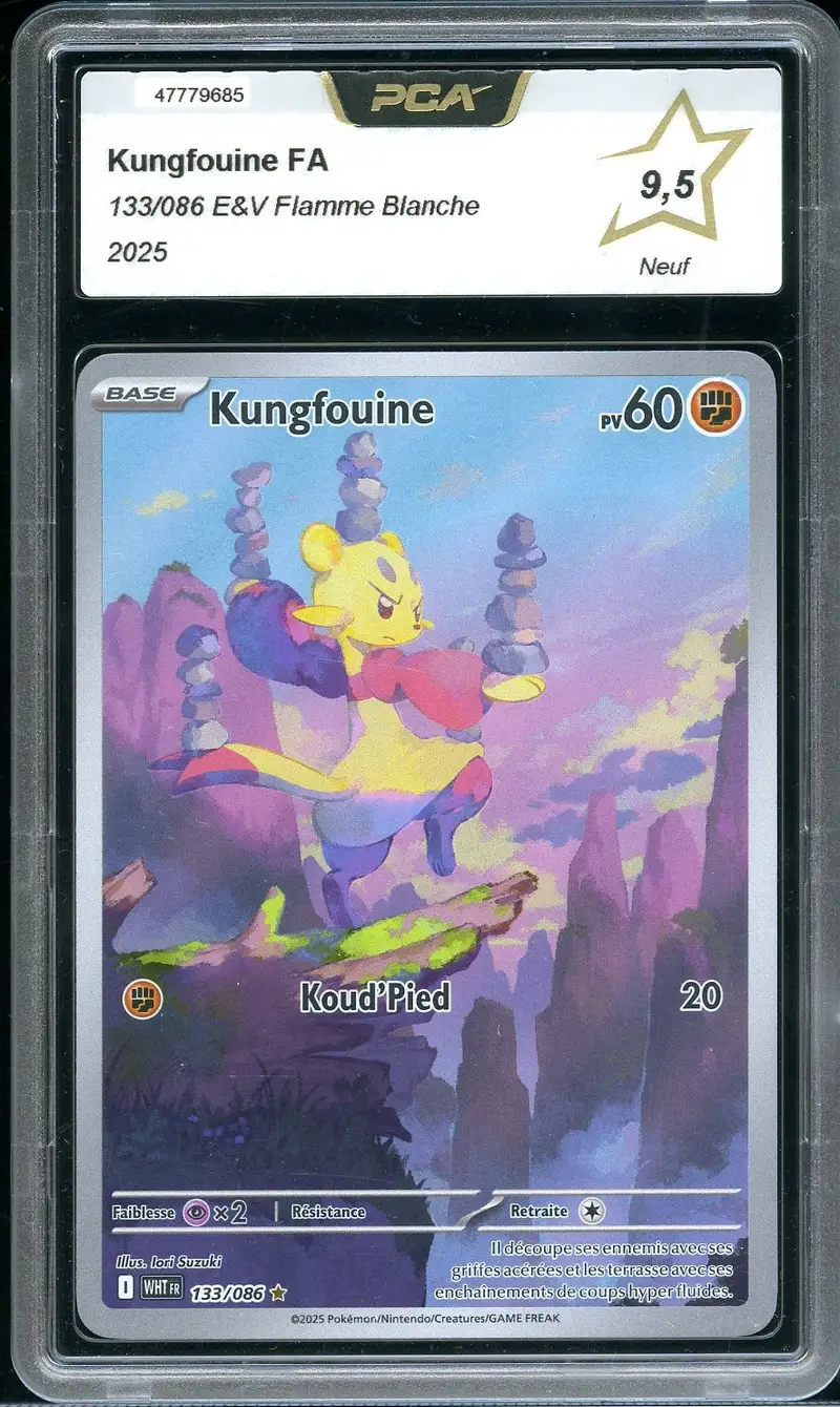 PCA 9.5 Kungfouine