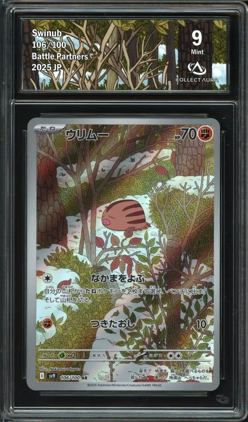 CA 9 Swinub