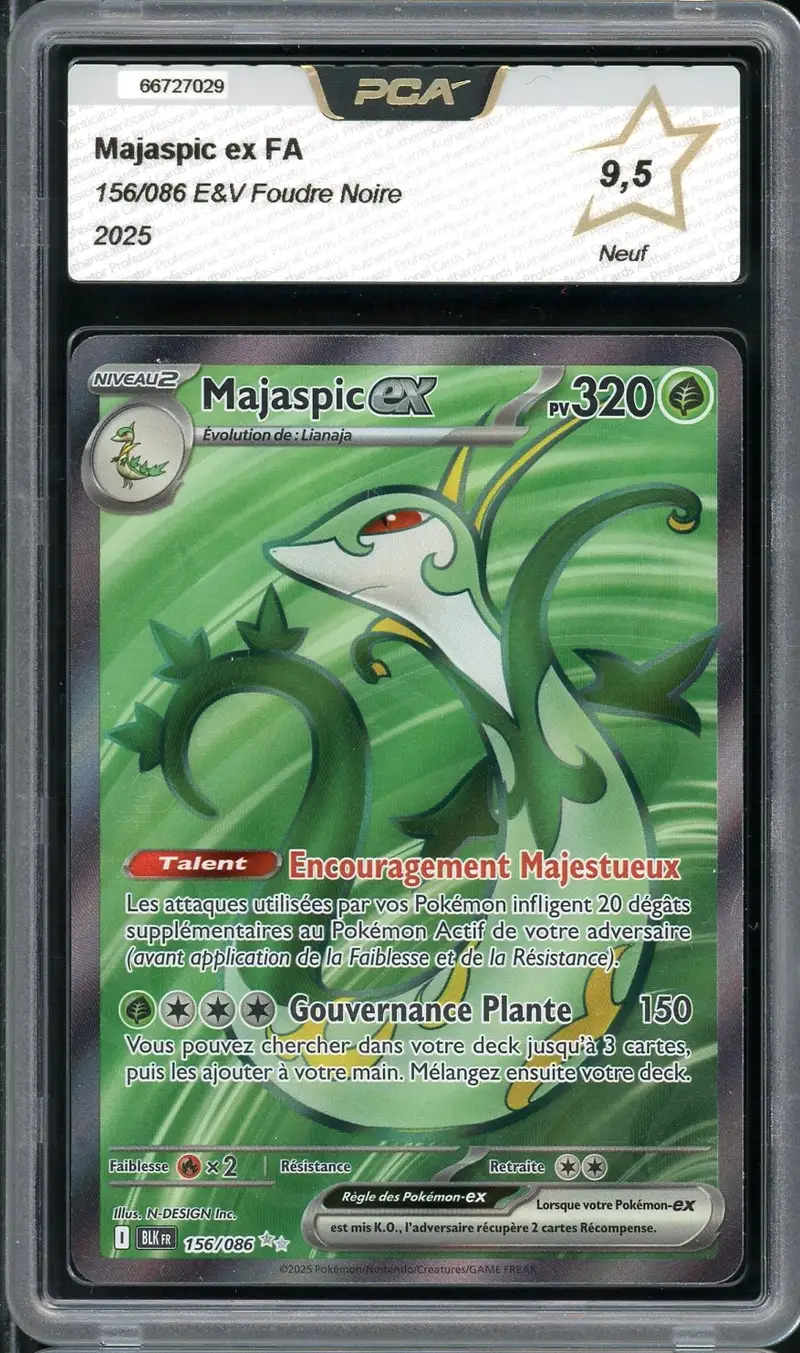PCA 9.5 Majaspic Ex
