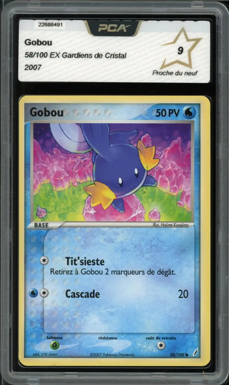 PCA 9 Gobou