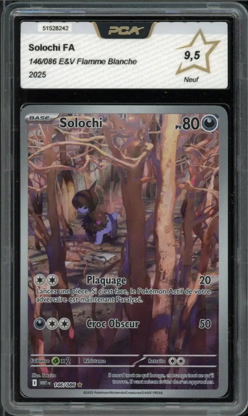 PCA 9.5 Solochi