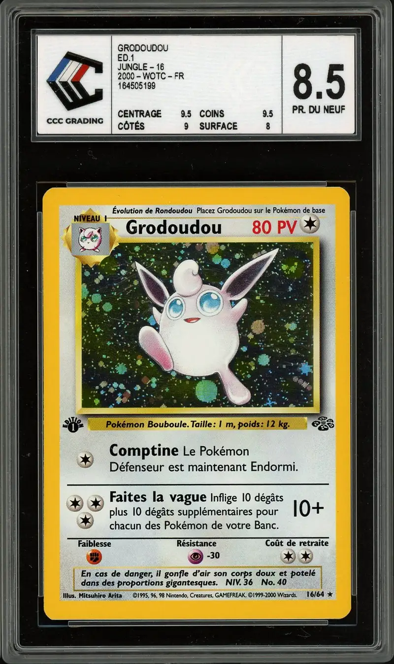 CCC 8.5 Grodoudou Holo