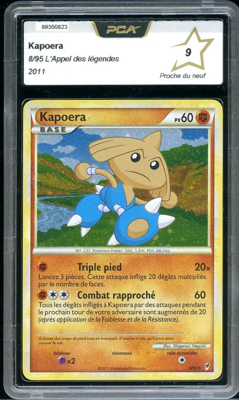 PCA 9 Kapoera Holo
