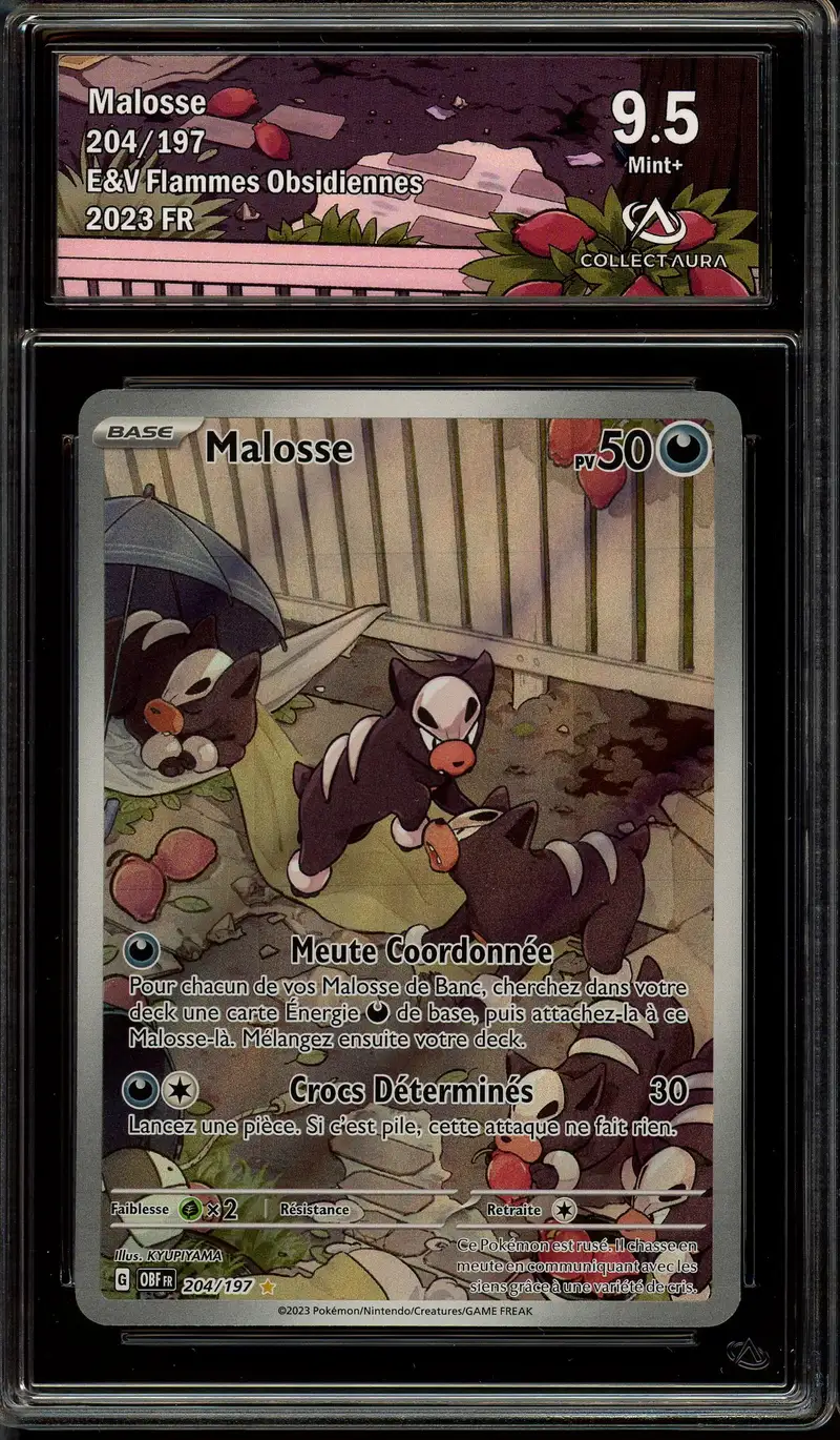 CA 9.5 Malosse